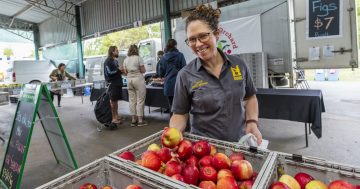 Capital Region Farmers Market wants YOU to bake a cake for their birthday