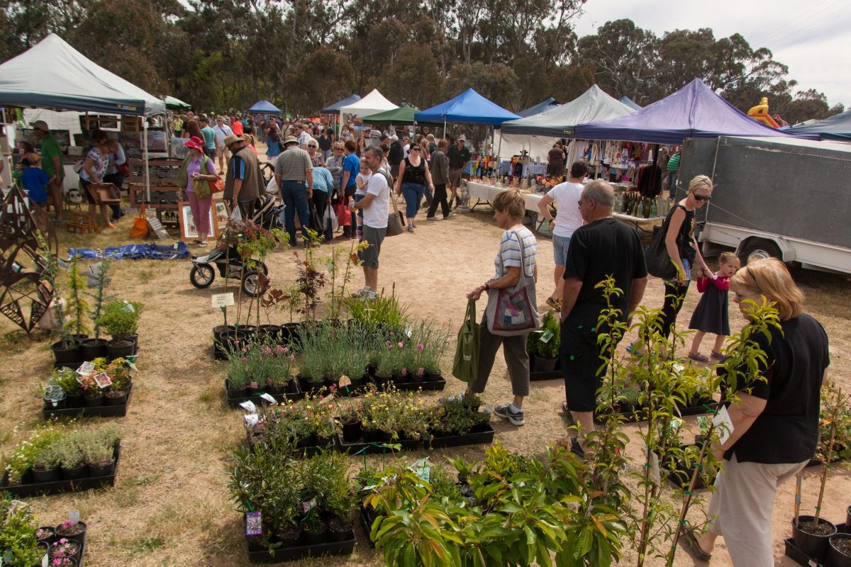 market shoppers at nursery stall