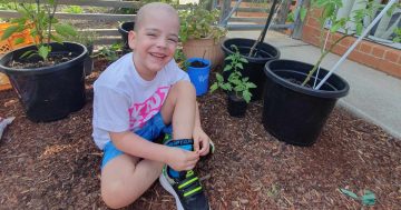 Young leukaemia sufferer issues call for help ... and Canberra delivers