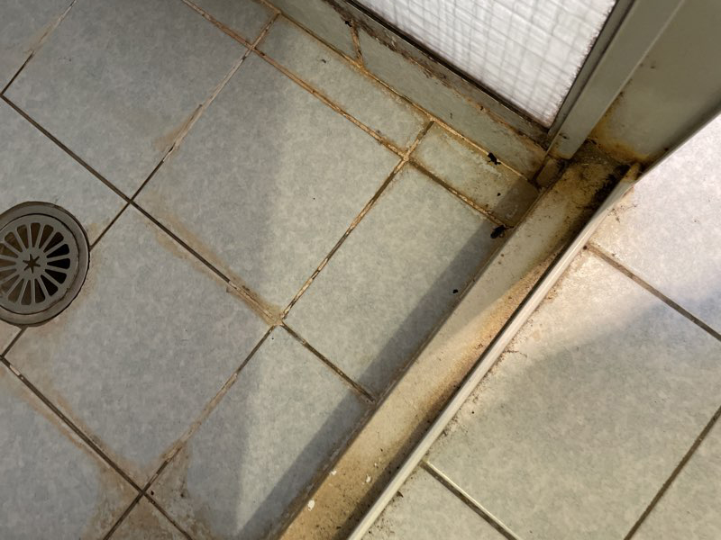 dirty shower floor