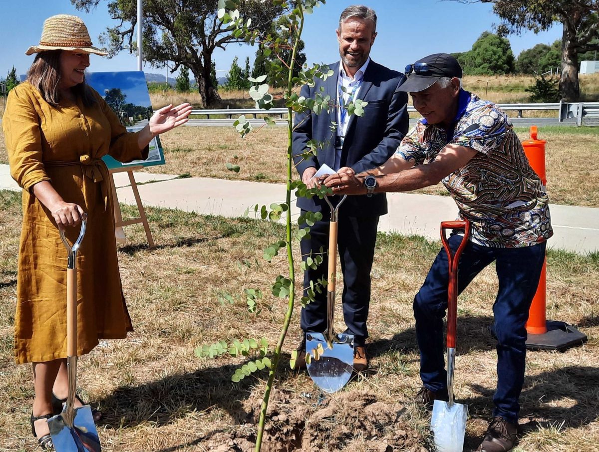 Housing and Suburban Development Minister Yvette Berry at the tree planting for the SLA's North Wright compact homes precinct site