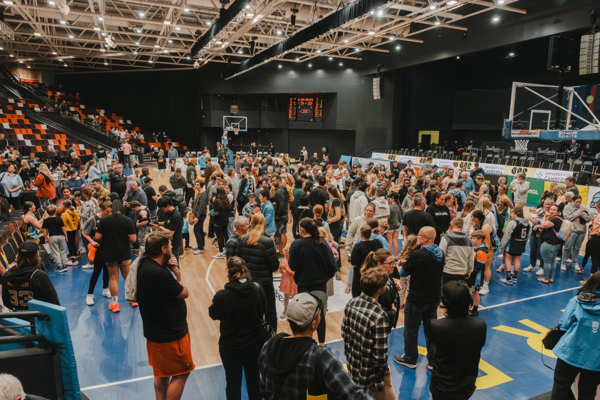 Crowd at a basketball game