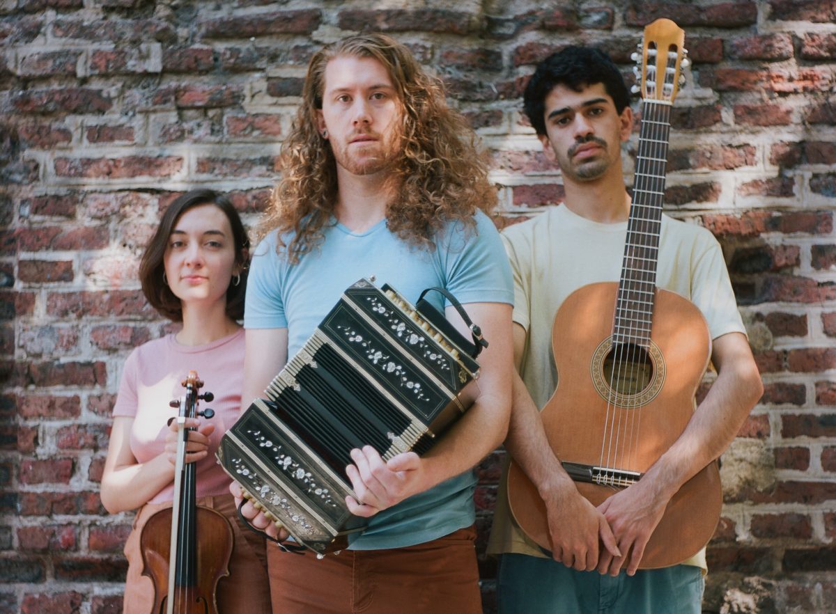 Musicians from Guanaco Trio