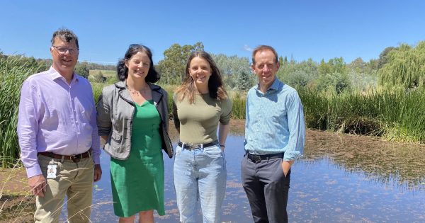 Five years on, how are Ginninderra's wetlands going?