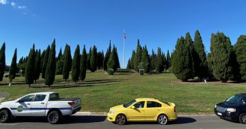 What ideas do you have to transform City Hill from a 'massive roundabout' to a proper park?