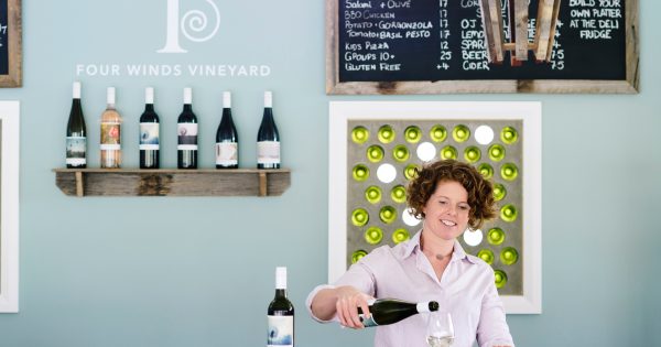 Five minutes with Sarah Collingwood, Four Winds Vineyard