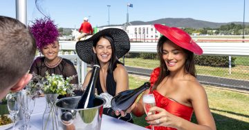 Join the party at Canberra's first ever million-dollar race day