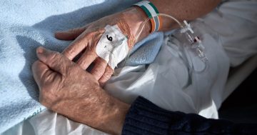 Government confident voluntary assisted dying laws will pass, funds implementation taskforce