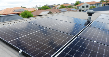 Sun still shining for ACT solar panel owners after export charge fears allayed