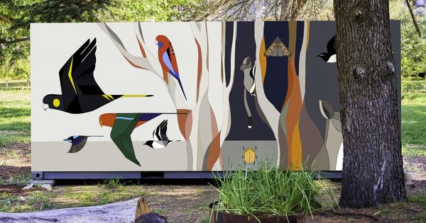 Artists behind Braddon's shipping container mural want more 'placemaking' down south