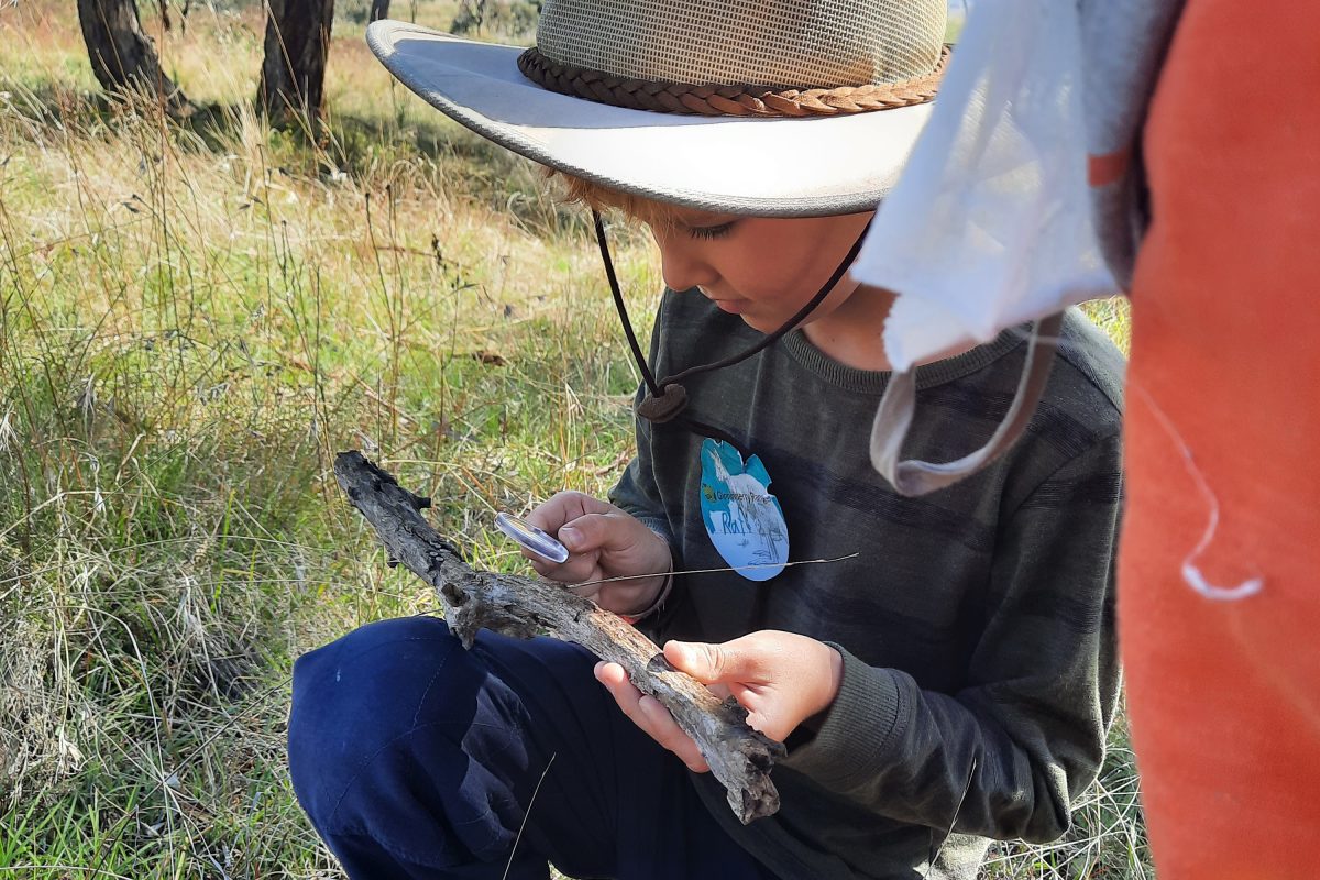 Boy looking at stick with magnifying glass