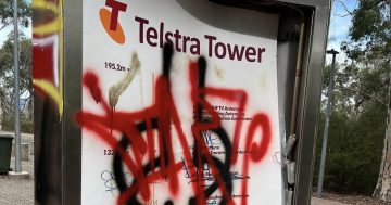 Telstra removes signage, but assures plans to resurrect the Canberra Tower are 'still ongoing'