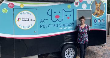 Vet on a mission to make pet care available to all animals in need