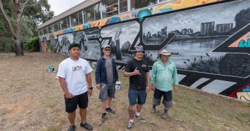 The Belconnen Owl has company - new mural at graffiti hot-spot celebrates all things northern