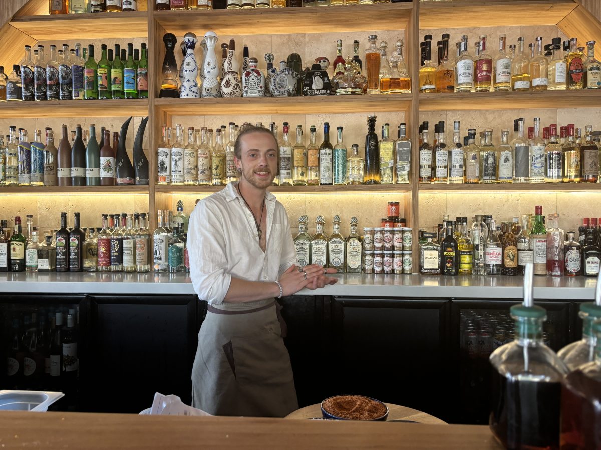 A man in white shirt at apron standing in front of shelf of alcohol bottles