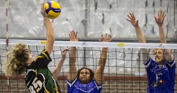 Net gains: Volleyball ACT all set to serve up fitness, fun and friendship for all