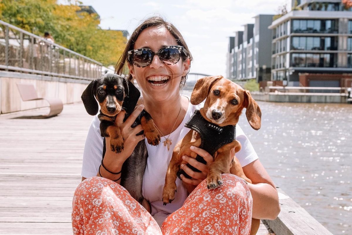 Dogs at the Dock held by a woman in Kingston