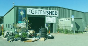 Shock as Green Shed contract goes to Vinnies