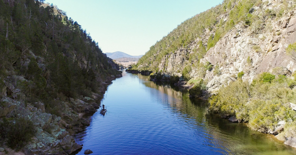 'Largely forgotten' Upper Murrumbidgee River left in 'perilous state', governments called on to act