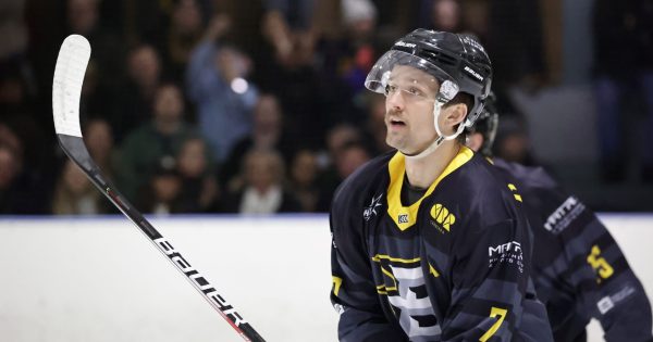 The CBR Brave return with potentially their strongest lineup in recent years for the National Ice Hockey League