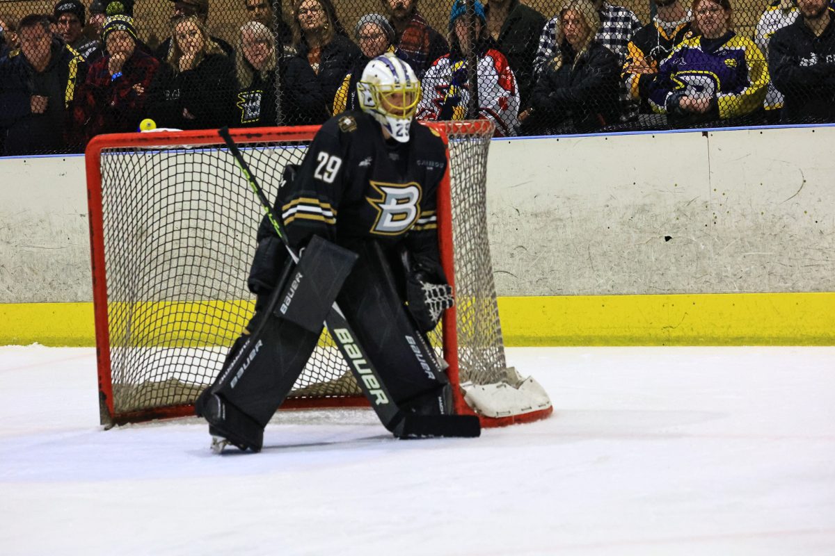 ice hockey players in a rink