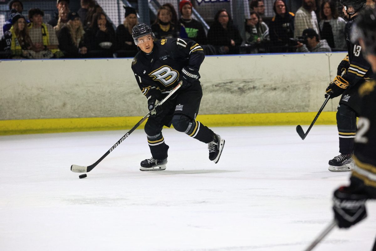 ice hockey players in a rink