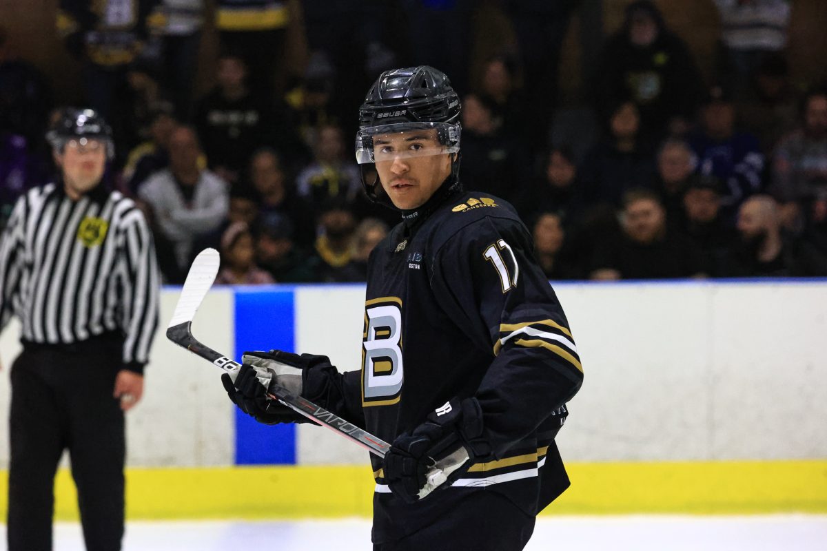 ice hockey players in a rink