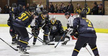 'It's the fastest paced game you will ever see': Canberra Brave gears up for another year on the ice