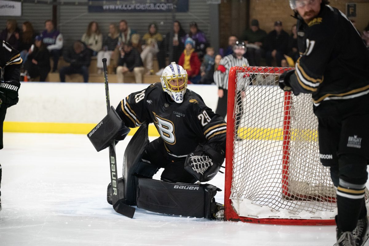 ice hockey players in a rink