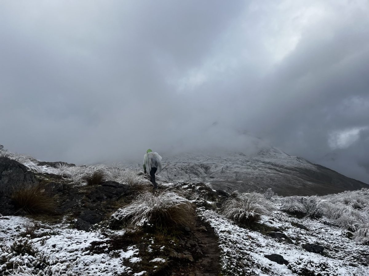 Part of the walk taken by Tom Bartlett and Maddie Wait from the top to the bottom of New Zealand. Photo: Supplied.