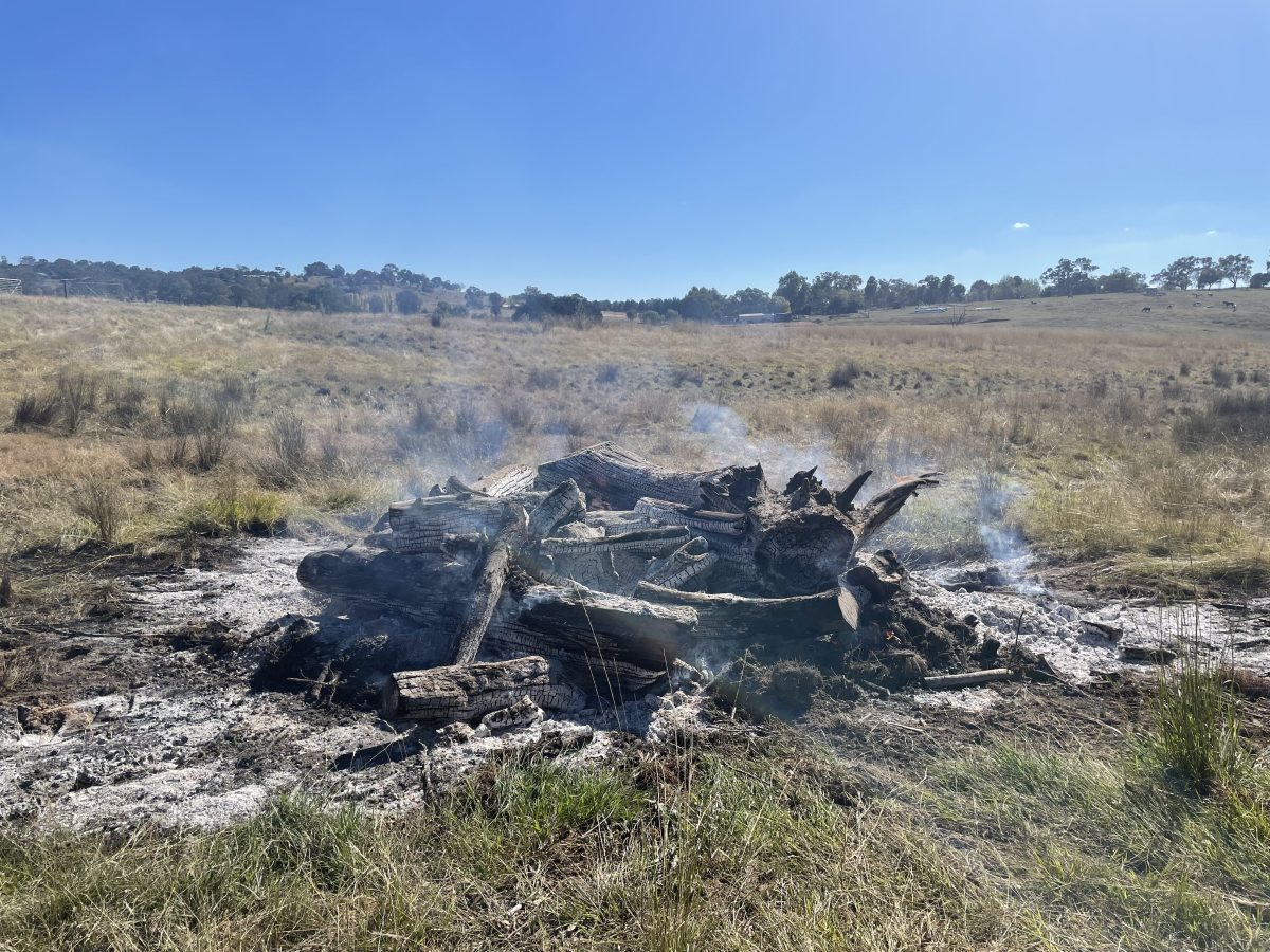 Burn-off pile in a paddock