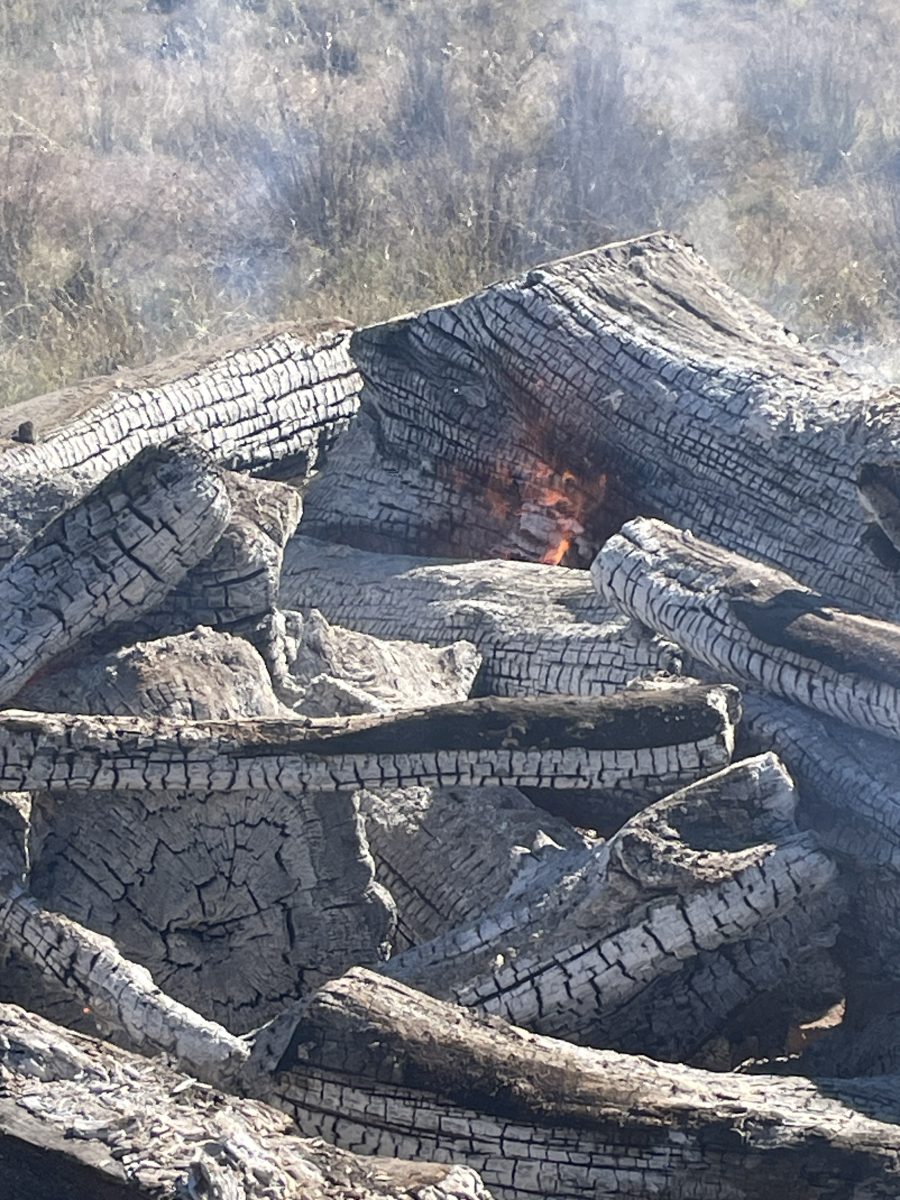 Old wood burning in a pile on a farm