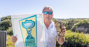 Be shell-shucked by Australia’s biggest oysters in Narooma