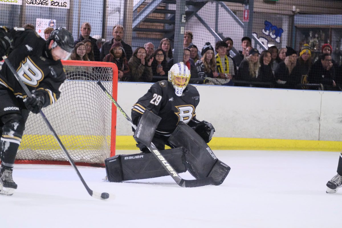 ice hockey players in a rink