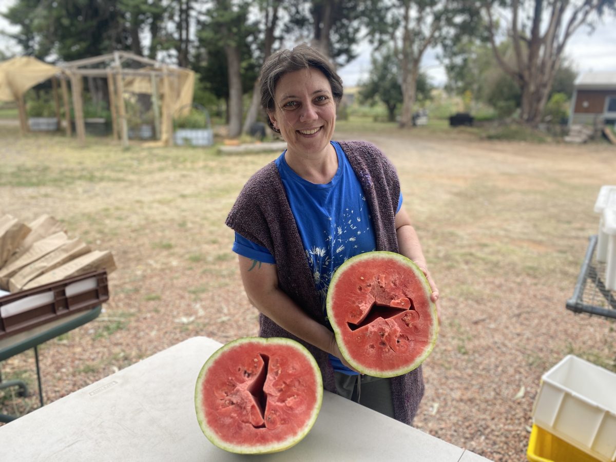 woman holding a watermelon