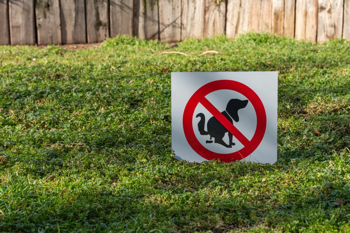 sign on lawn about not letting yourt dog poop