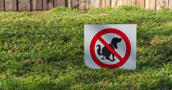 First we had the parking wars, now we have the dog poo wars