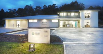 Sudden closure of Mogo Day Surgery leaves hundreds of patients in limbo