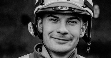 Jockey Stefano Cherchi dies two weeks after Canberra horse race fall