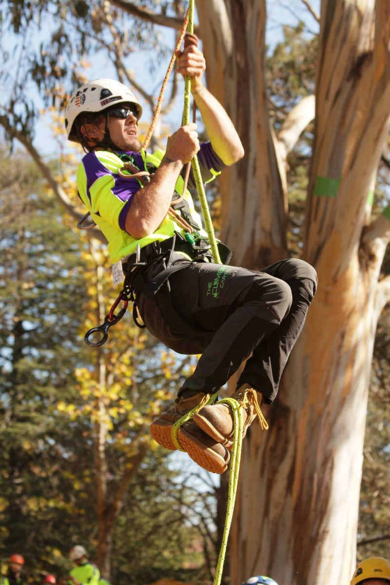 Tree climbing