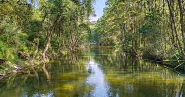 Discover private river frontage close to beaches and the bush