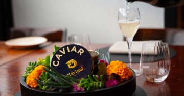 The best fine dining restaurants in Canberra