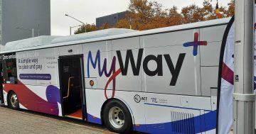 What Transport Canberra is doing to fix MyWay+