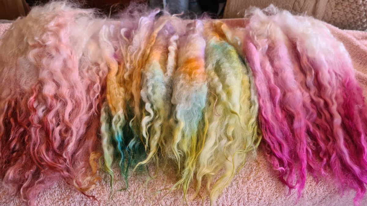 wool samples