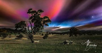 Canberra photographer says recent aurora australis is 'the largest display I've seen in 20 years'
