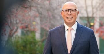 Federal Budget: Opposition Leader targets 'Canberra-centric funding' in Budget reply