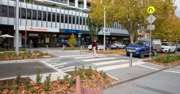 Braddon businesses replacing toilet seats 'every week' due to planning oversight