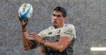 The Brumbies' performances so far this year have effectively saved the club