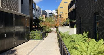 Does 'lazy planning' doom Canberra's growth areas?