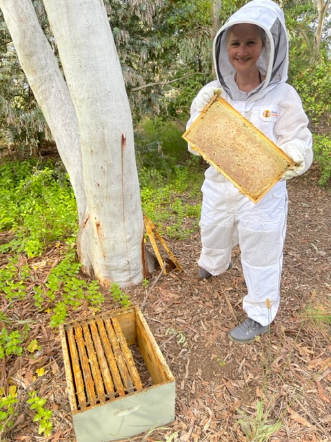 Woman dressed all in white with bees
